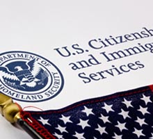 labor employement immigration law